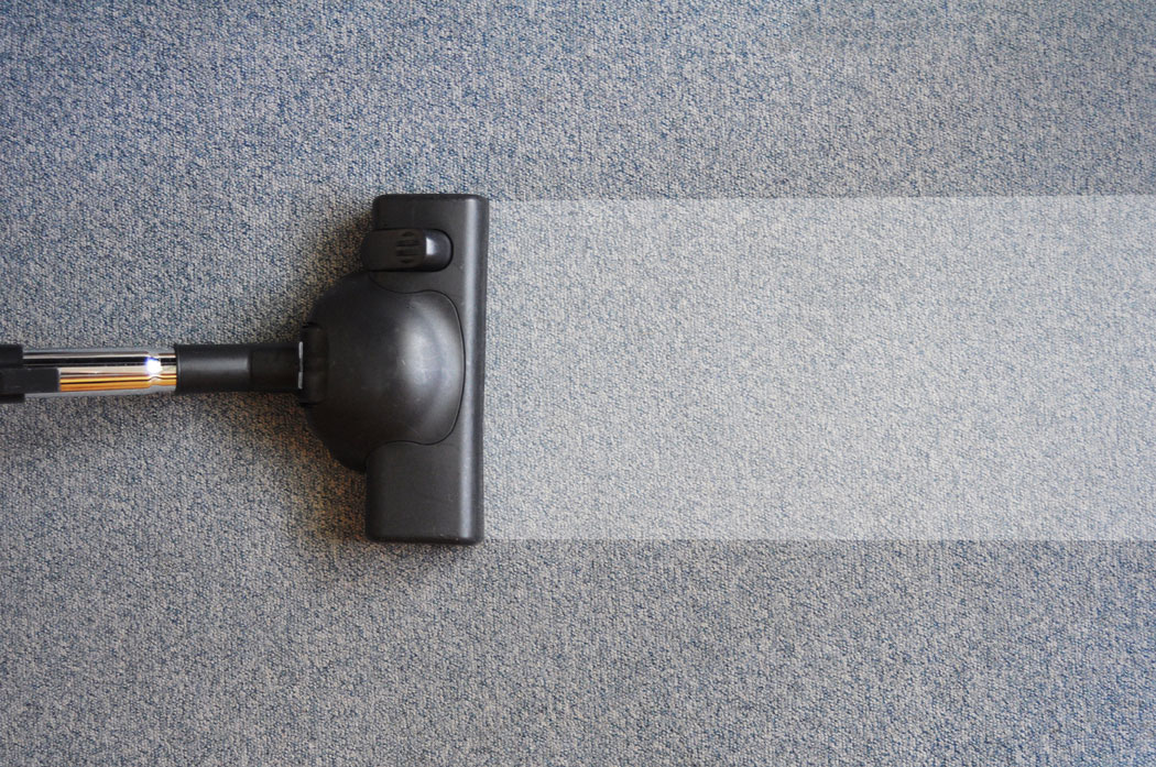 Carpet Cleaner Carpet Cleaner