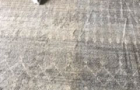 carpet1