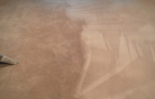 carpet2